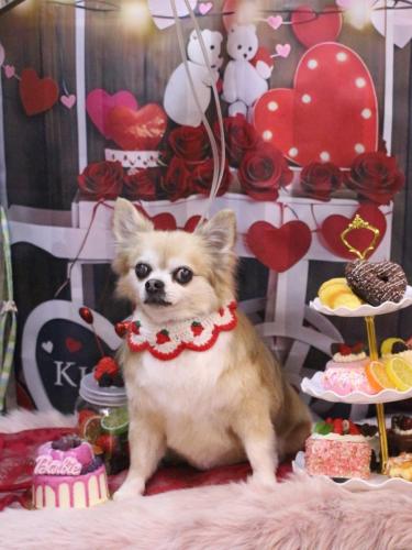 20250215伝次郎くん